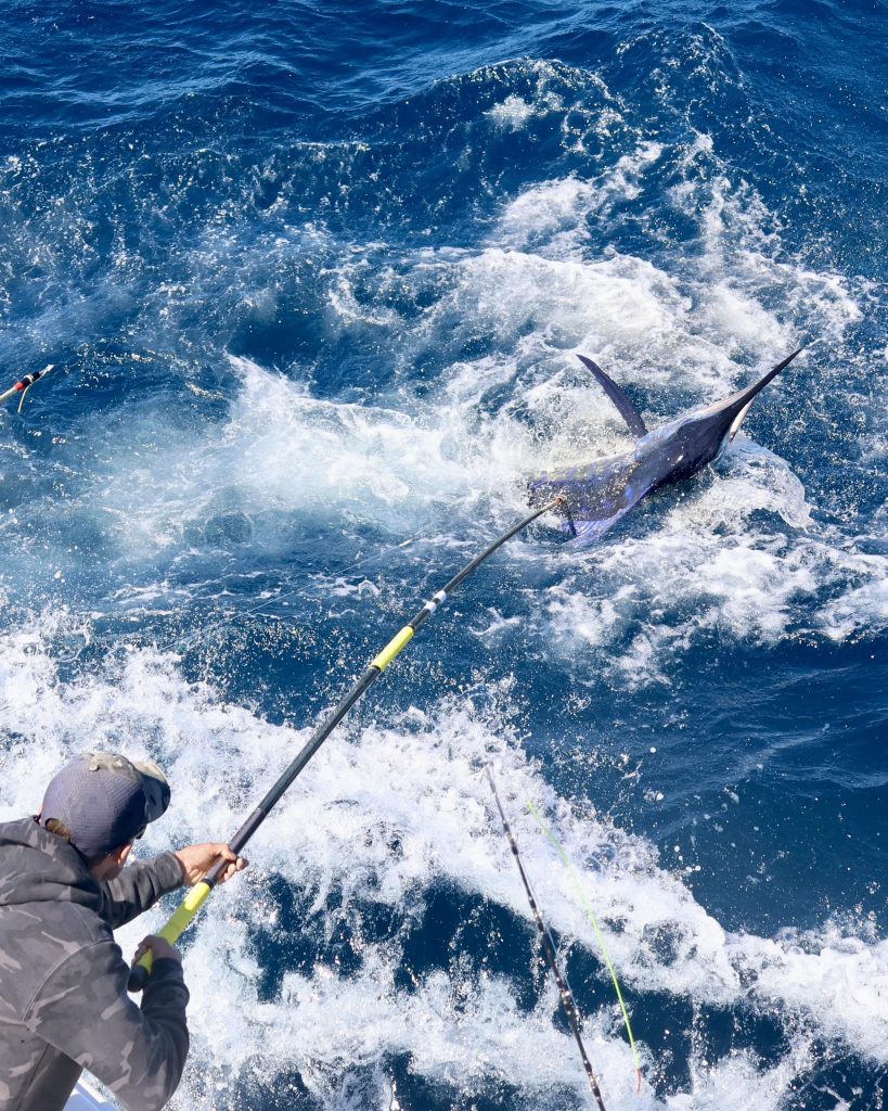 Angler fighting a marlin beside the boat